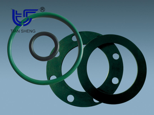 TS G65 rubber gasket