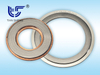 TS G2 metal toothed gasket