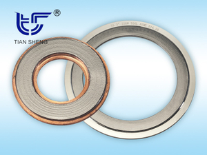 TS G2 metal toothed gasket