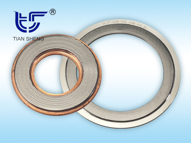 TS G2 metal toothed gasket