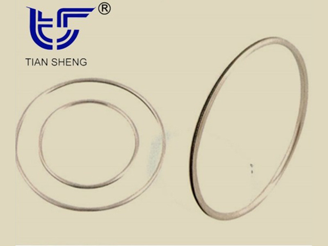 TS G90 metal C-shaped sealing ring