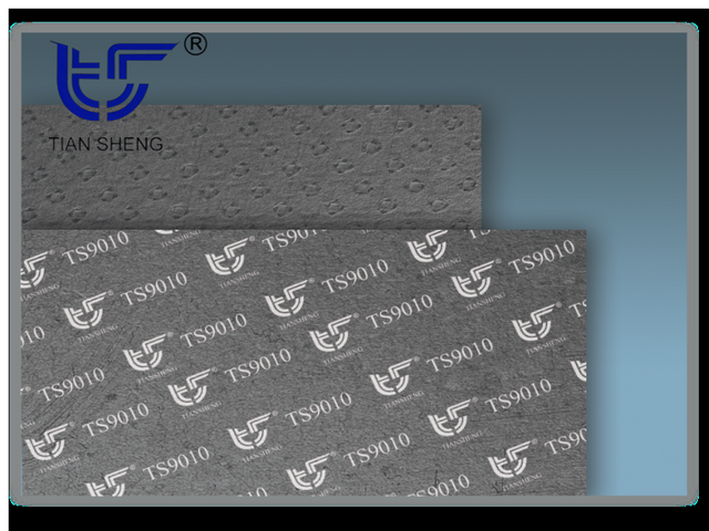 TS G7 graphite composite reinforced gasket/sheet