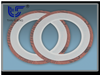 TS G5 PTFE coated gasket