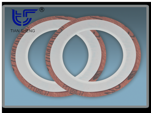 TS G5 PTFE coated gasket