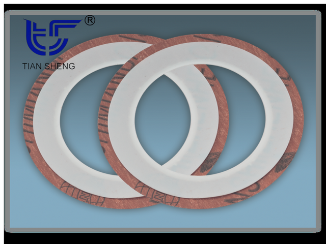 TS G5 PTFE coated gasket