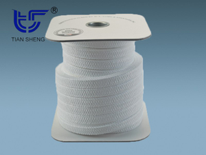 TS 520 (TS-G2) ePTFE packing