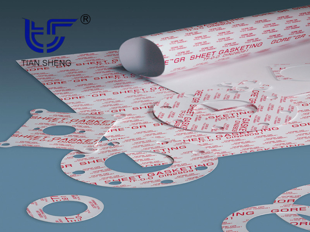 TS G6323 expanded PTFE gasket/plate