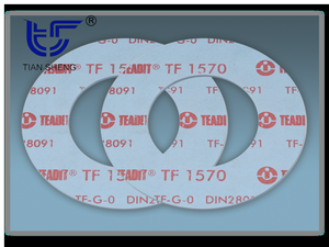 TS G6322 modified filled PTFE gasket