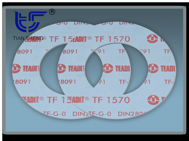 TS G6322 modified filled PTFE gasket