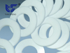 TS G6321 PTFE gasket