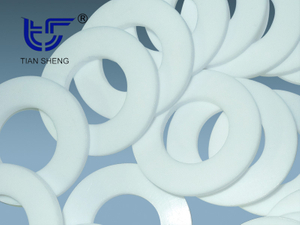 TS G6321 PTFE gasket