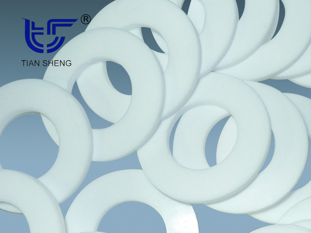 TS G6321 PTFE gasket