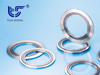 TS N8101 (SELEX®) metal graphite gasket