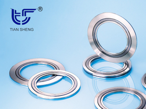 TS G1 metal spiral wound gasket