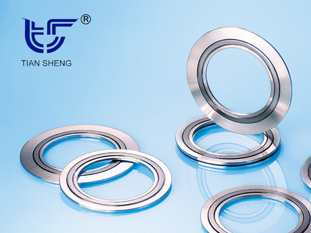 TS N8101 (SELEX®) metal graphite gasket