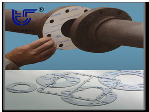 TS G6323-1 Gasket