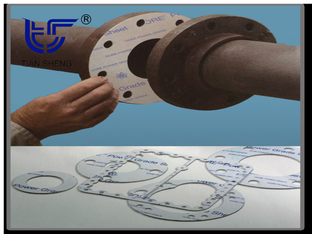 TS G6323-1 Gasket