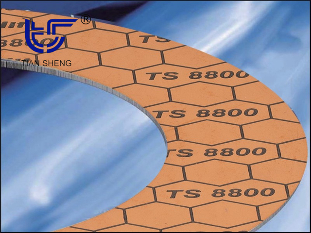 TS G8800 asbestos-free graphite gasket